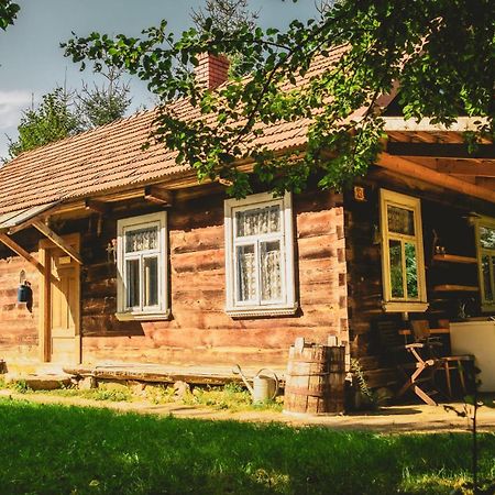 Domek Gajowy Bialowieza Ngoại thất bức ảnh